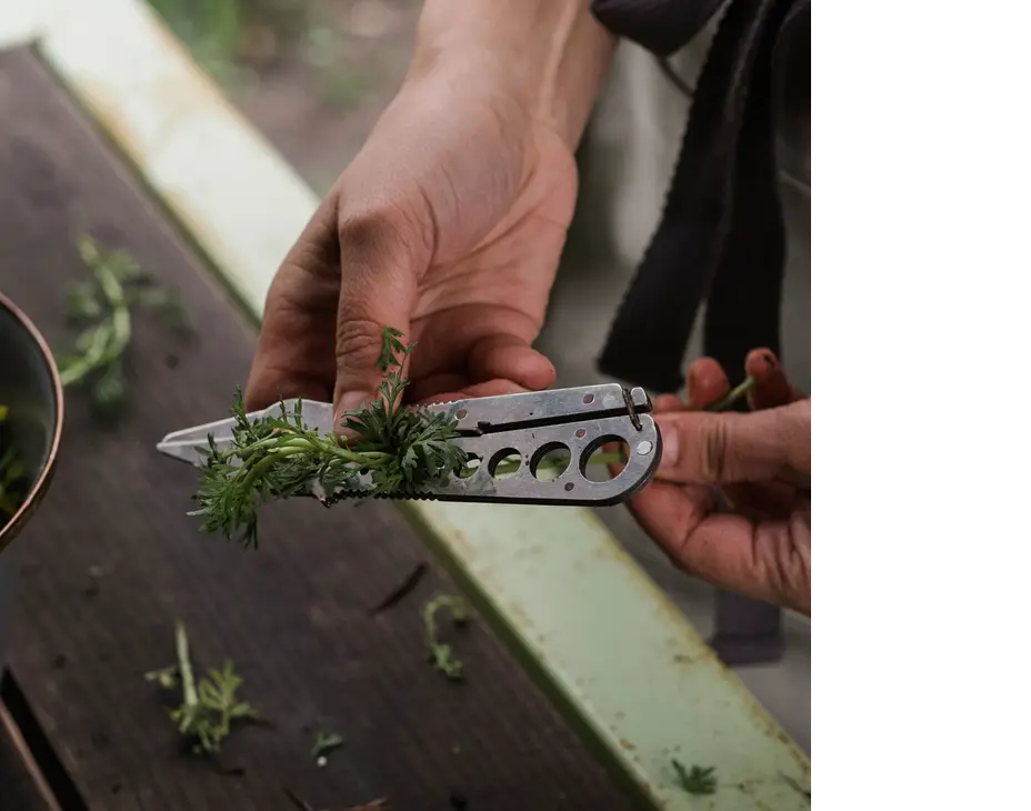 Herb Harvest + Strip Tool | Tumbled Steel