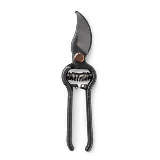 Pruning shears on a white background