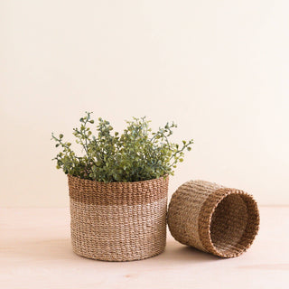 Tabletop Baskets