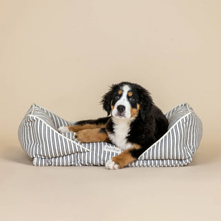 Stripe Medium Pet Bed