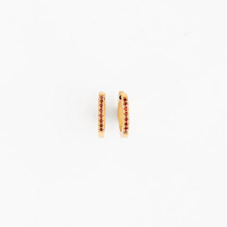 Gem Hoop Earrings - Hypoallergenic