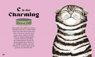 Catphabet : A Cat Alphabet - Book