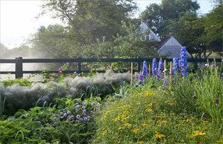 Becoming a Gardener : Catie Marron - Book