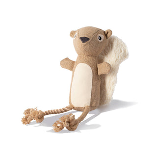 Squirrel Dog Toy
