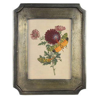 Framed botanical illustration with flowers and a butterfly on a white background