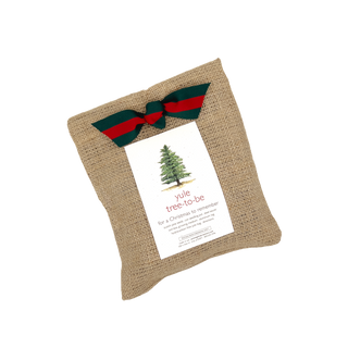 Burlap bag with a Christmas tree design and red and green ribbon on a white background