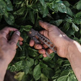 Person holding a tool amidst green plants