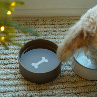 Dog bowl with a bone symbol on a textured surface, with a dog partially visible.