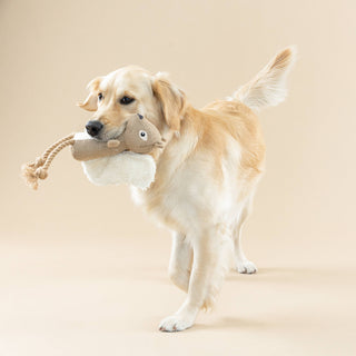 Squirrel Dog Toy