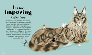 Catphabet : A Cat Alphabet - Book
