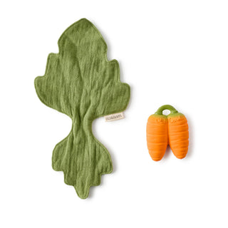 Green leaf-shaped toy and orange carrot-shaped toy on a white background