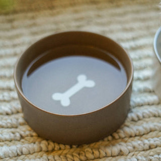 Brown ceramic bowl with a white bone design on a textured beige surface