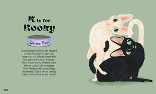 Catphabet : A Cat Alphabet - Book