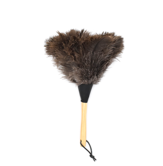 Feather Duster  14"