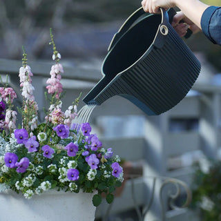 Person watering a potted plant with a black watering can outdoors.