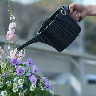 Person watering flowers with a black watering can outdoors