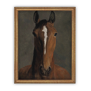 Horse Canvas Art Framed