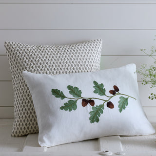 Two decorative pillows on a wooden surface with a white background