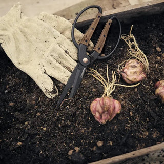 Garden Scissors - Large - FORD + ELM
