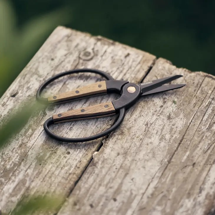 Garden Scissors - Small