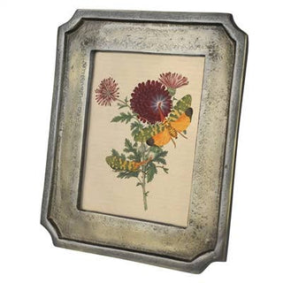 Framed botanical illustration with flowers on a white background