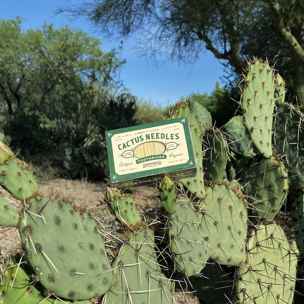 Cactus Needle Toothpicks - FORD + ELM