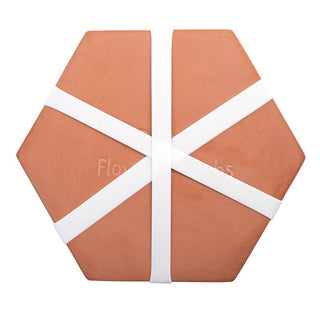 Hexagonal terracotta tile with white straps on a white background