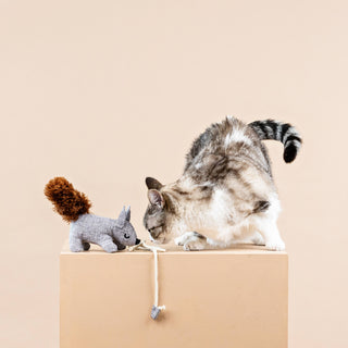 One Tuff Nut Teaser Cat Toy