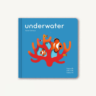 TouchThinkLearn: Underwater
