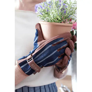 Gloves holding a potted plant with a blurred background