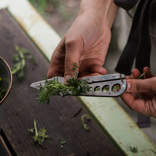 Person using a multi-tool with herbs on a wooden surface
