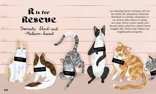 Catphabet : A Cat Alphabet - Book