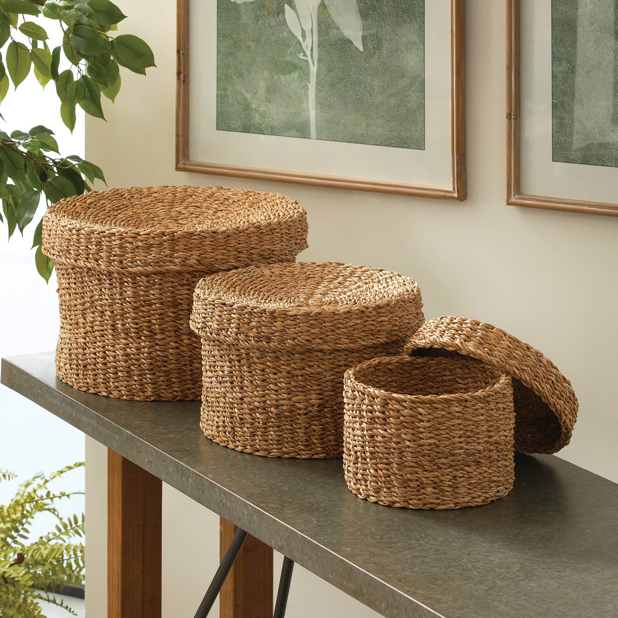 Seagrass Round Lidded Baskets