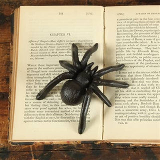 Black spider figurine on an open book with text