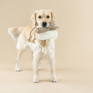 Squirrel Dog Toy