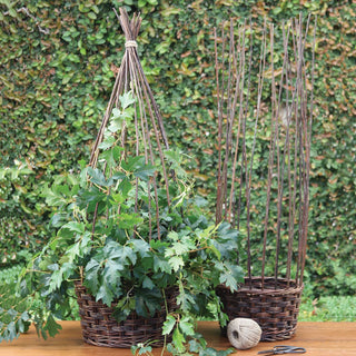 Willow Gathered Baskets