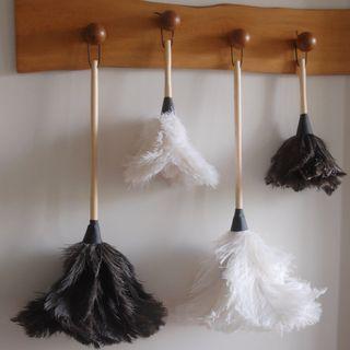 Feather Duster  14"
