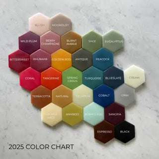Hexagonal color swatches arranged in a circular pattern on a textured surface with '2025 Color Chart' text.