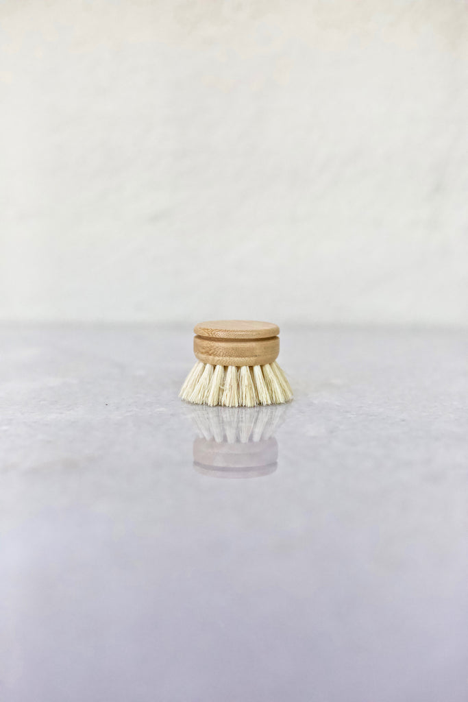 Small Dish Brush Replacement Head - Horse Hair