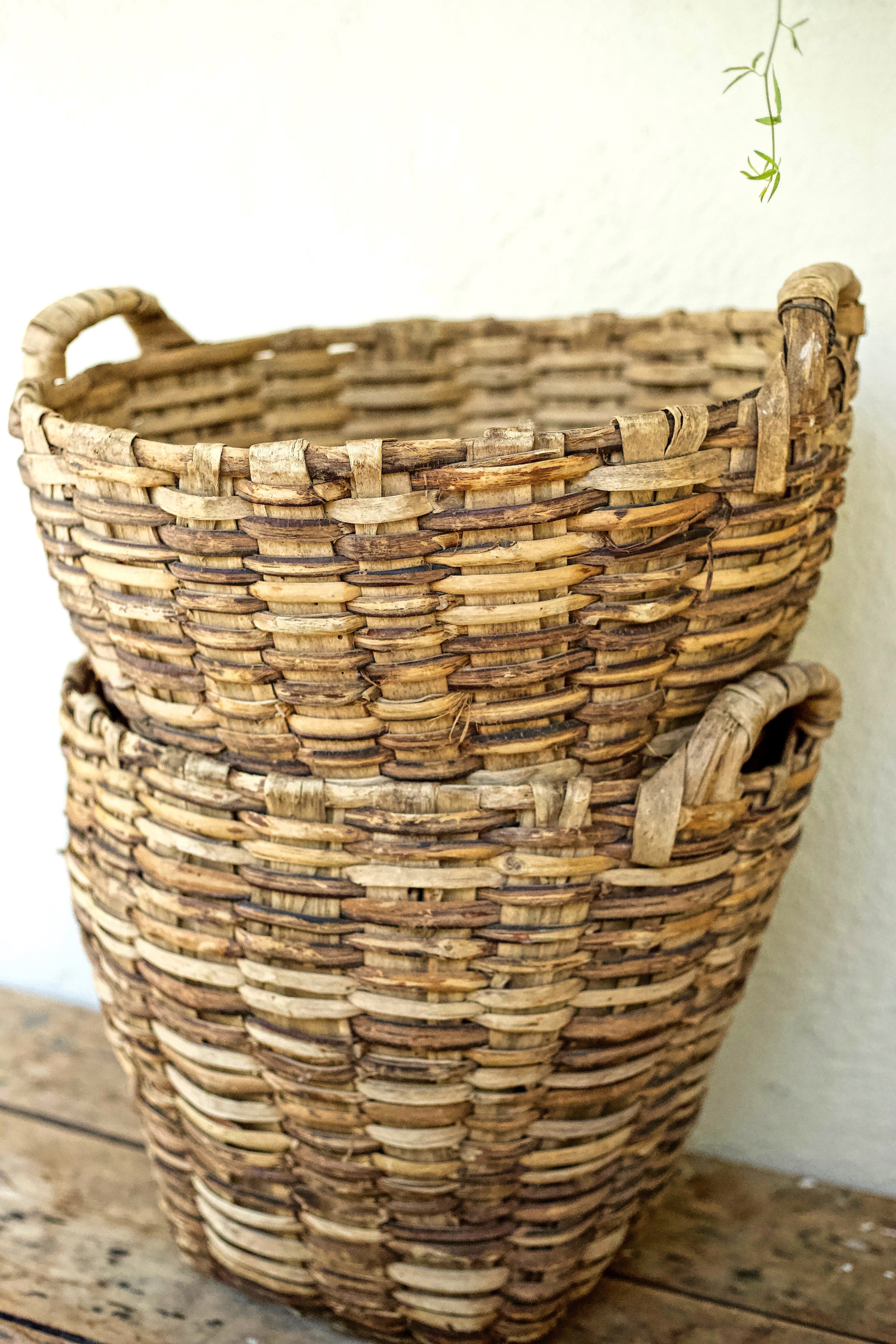 Baskets - Harvest