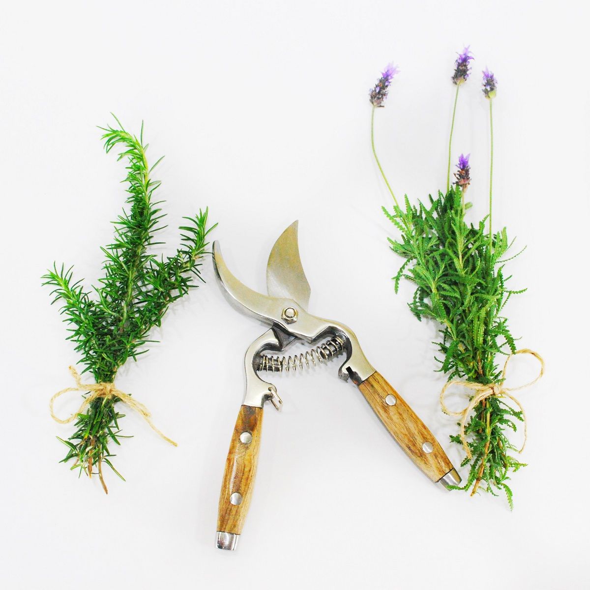 Secateurs With Wooden Handle
